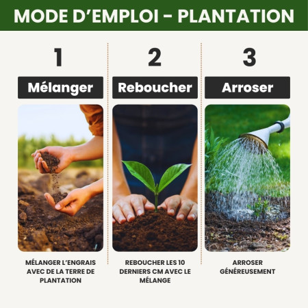 Engrais plantation riche en phosphore, spécial reprise racinaire