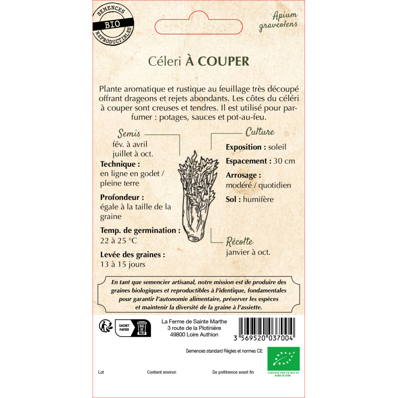 Graines bio de céleri à couper