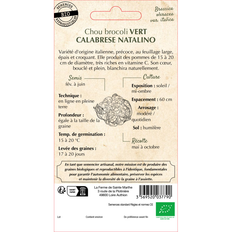 Graines bio de Chou Brocoli Vert Calabrese Natalino
