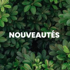 Nouveautés