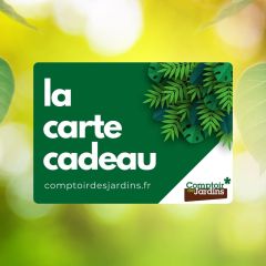 Carte Cadeau