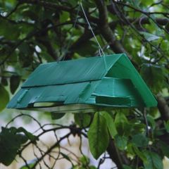 Traitements et protections